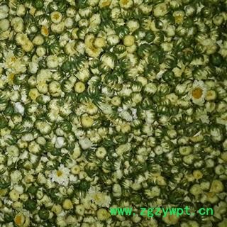 胎菊 选货 产地 浙江省 华美中药 产地直销 重在品质图4