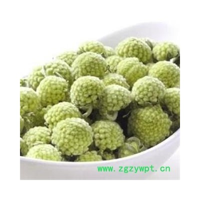 选 绿萝花  批发各种花草茶 产地 湖南省邵阳市新邵县