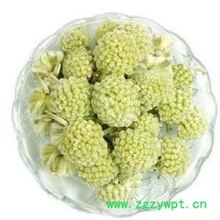 选 绿萝花  批发各种花草茶 产地 湖南省邵阳市新邵县图2