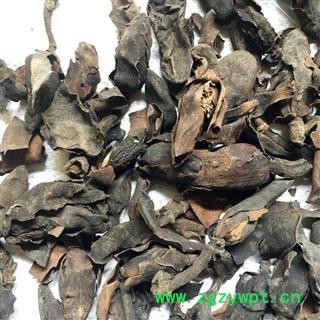 厚朴花 厚朴花统货 产地 四川省 买好药找娟子图3