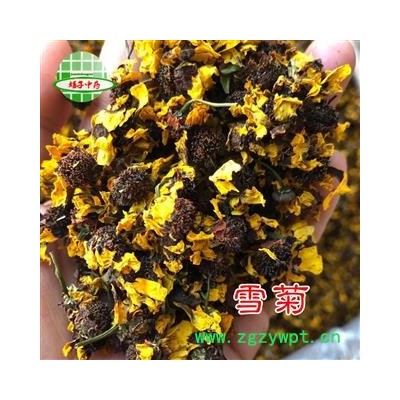 雪菊 雪菊统货 产地 新疆维吾尔自治区 娟子中药行
