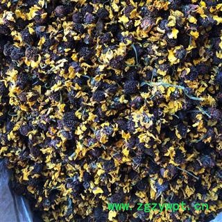 雪菊 雪菊统货 产地 新疆维吾尔自治区 娟子中药行图2