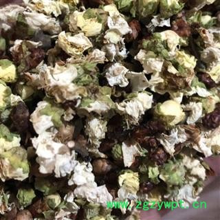 梅花 绿梅花 大花统货 产地 浙江省图2