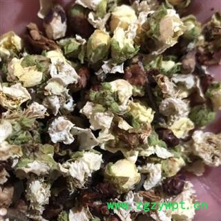 梅花 绿梅花 大花统货 产地 浙江省图3