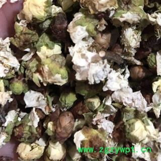 梅花 绿梅花 大花统货 产地 浙江省图4