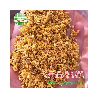 桂花 精品桂花 产地 广西壮族自治区  买好药找娟子