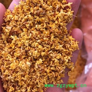 桂花 精品桂花 产地 广西壮族自治区  买好药找娟子图2