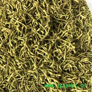 金银花 茶花 2021新货 产地 山东省济宁市泗水县图2