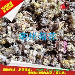 菊花 亳菊 产地 安徽省亳州市谯城区 凯捷中药图3
