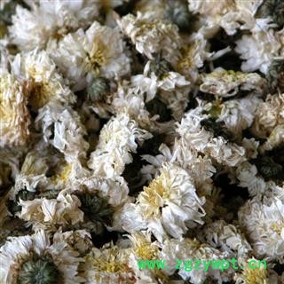 菊花 亳菊 产地 安徽省亳州市谯城区 凯捷中药图4