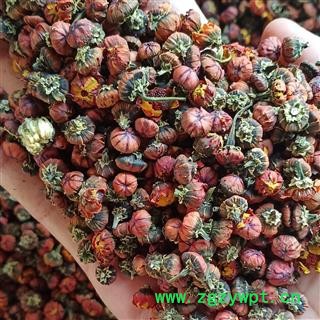 雪菊 昆仑雪菊 产地 新疆维吾尔自治区图2