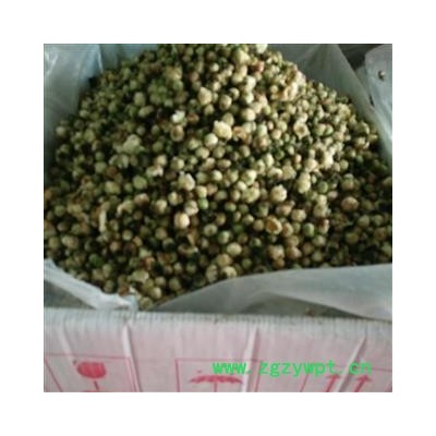 山茶花 选 批发花草茶 产地 重庆市