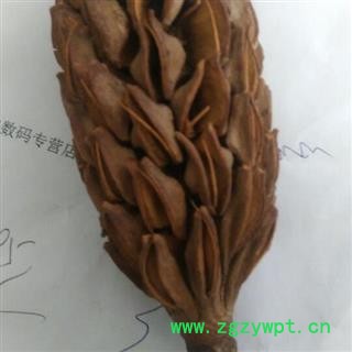 新辉药业正品野生厚朴花  优质无硫图3