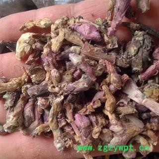 新辉药业中药材款冬花 产地甘肃图2