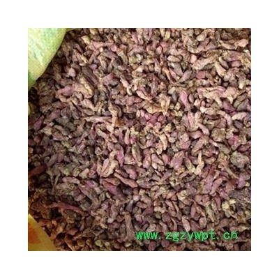 新辉药业中药材款冬花 产地甘肃