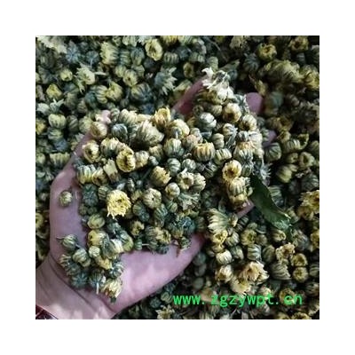 新辉药业菊花 优质无硫胎菊米