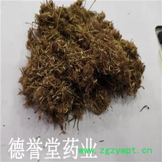 合欢花 统 夜合欢、夜合树 绒花树 鸟绒树 苦情花 产地 山东图2