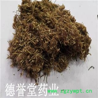 合欢花 统 夜合欢、夜合树 绒花树 鸟绒树 苦情花 产地 山东图4