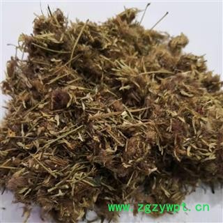 合欢花 统 夜合欢、夜合树 绒花树 鸟绒树 苦情花 产地 山东图3