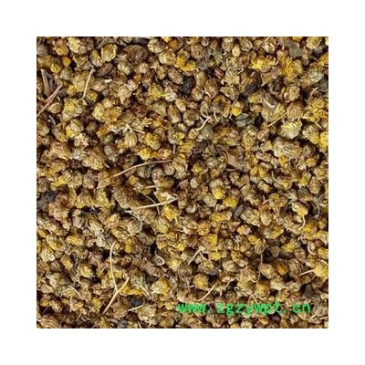 野菊花 新货上市野菊花统货 产地 湖南省