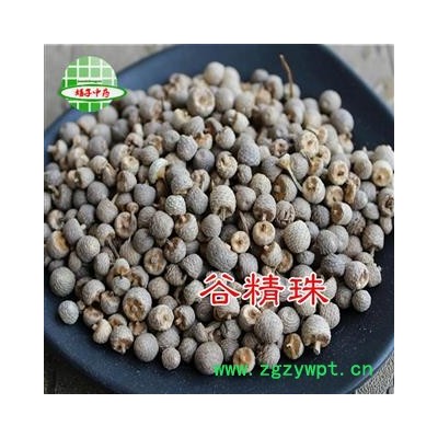 谷精珠 干净无杂质 产地 河北省 买好药找娟子