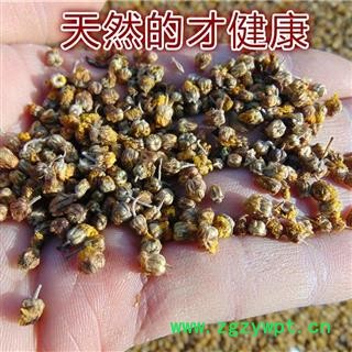 野菊花 野菊花统货 产地 湖北省 买好药找娟子图2
