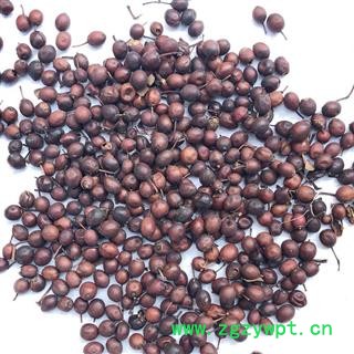 蔷薇花 营实子 统货 产地 山东省 买好药找娟子图3