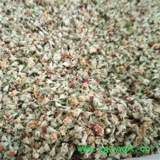 苹果花 精选花茶级别  批发花草茶 产地 山东省图2