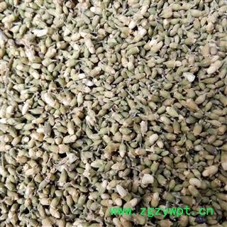 槐花 槐米 统货（色青） 产地 河北省图2