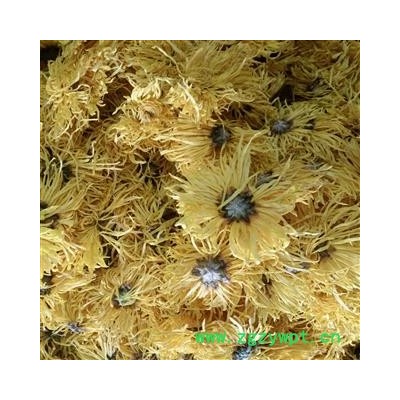 黄菊花 金丝皇菊 花茶 产地 江西省