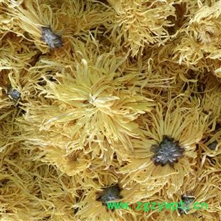 黄菊花 金丝皇菊 花茶 产地 江西省图2