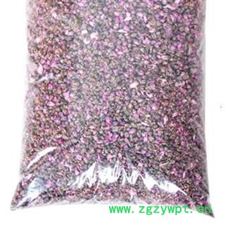 新辉药业桃花  山桃花图2