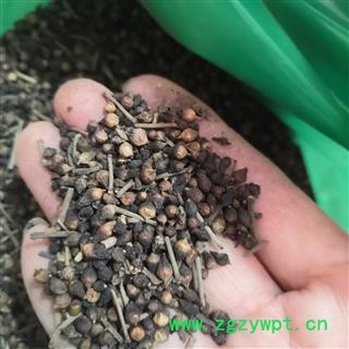 新辉药业水翁花  水雍花  大蛇药图3