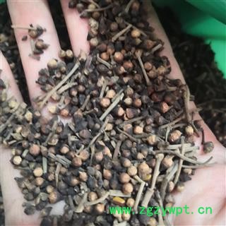 新辉药业水翁花  水雍花  大蛇药图2