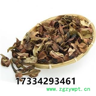 厚朴花  川朴花 调羹花  中药材初级农产品图2