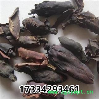 厚朴花  川朴花 调羹花  中药材初级农产品图3