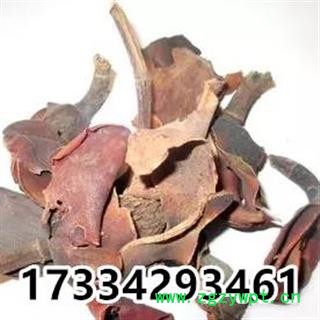 厚朴花  川朴花 调羹花  中药材初级农产品图4