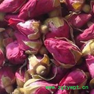 玫瑰花 玫瑰花 山东玫瑰王  产地 山东省图3