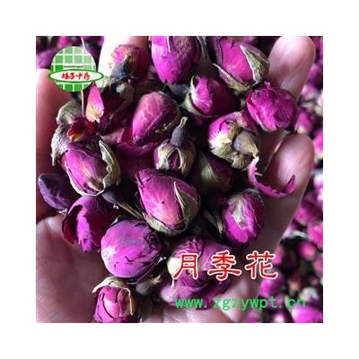 月季花 月季花 玫瑰嫁接月季花 产地 山东省 买好药找娟子