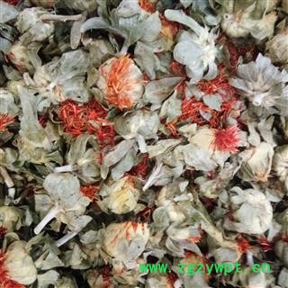 红花 红花朵 产地 新疆维吾尔自治区图2