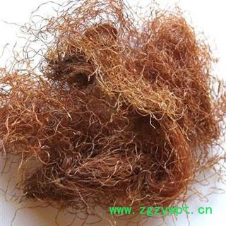 玉米须 玉米须统货 产地 吉林省 凯捷中药图2