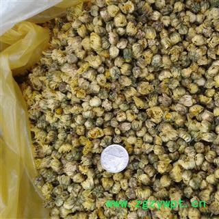 胎菊 桐乡胎菊王 产地 浙江省图3