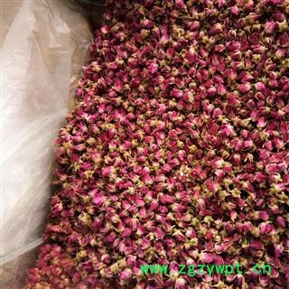 玫瑰花 山东玫瑰王 产地 山东省图3