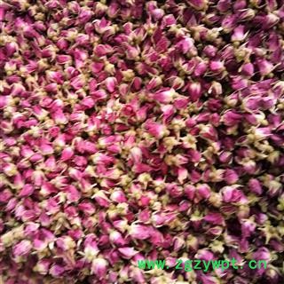 玫瑰花 山东玫瑰王 产地 山东省图2