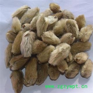 新辉药业正品无柄辛夷花 优质花茶图2