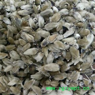 新辉药业正品无柄辛夷花 优质花茶图3