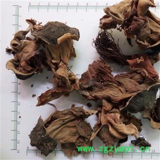 新辉药业中药材木棉花 攀枝花图3