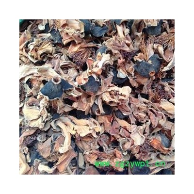 新辉药业中药材木棉花 攀枝花