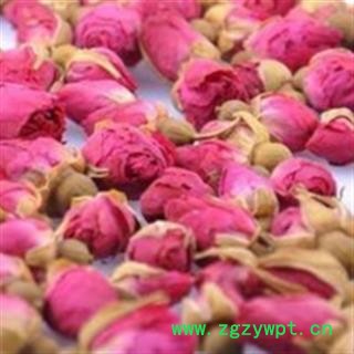 玫瑰花 山东玫瑰   产地 山东省图2