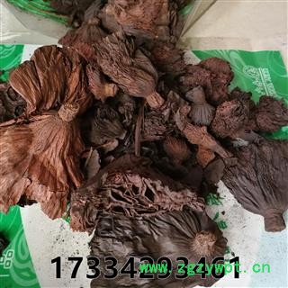 莲房碳 莲房炭  原料图4